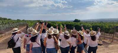 Navegantes Experiences Enoturísticas